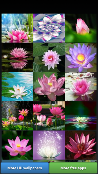 Lotus Flower Wallpapers - Image screenshot of android app