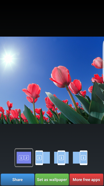 Colorful Tulip Wallpapers - عکس برنامه موبایلی اندروید