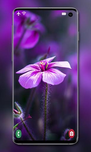 Purple Wallpaper - عکس برنامه موبایلی اندروید