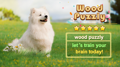 Wood Puzzle -Block Puzzle Game - Gameplay image of android game