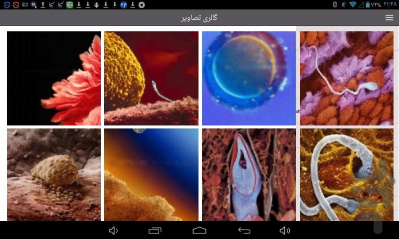 Bardari - Image screenshot of android app