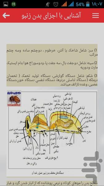 آموزش حرفه ای زنبورداری - عکس برنامه موبایلی اندروید