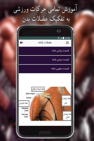 figure Bodybuilding - Image screenshot of android app
