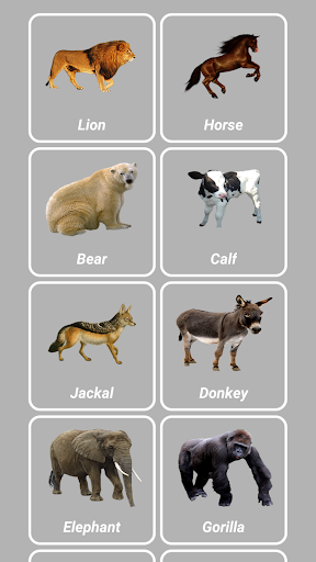 Animal Sounds - Image screenshot of android app