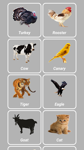 Animal Sounds - Image screenshot of android app