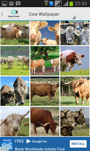 Cow Wallpaper - Image screenshot of android app