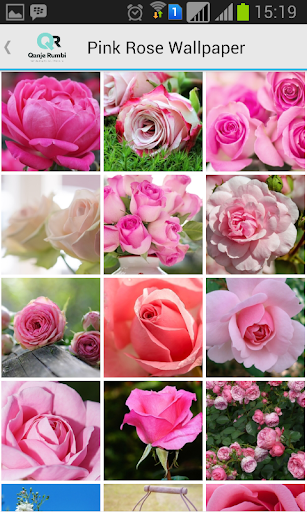 Pink Rose Wallpaper - Image screenshot of android app