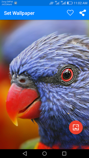 ۱۰۰۰۰+ Nature Wallpapers & Backgrounds - عکس برنامه موبایلی اندروید