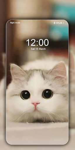 Cute Cat Wallpaper Live HD - Image screenshot of android app