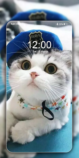 Cute Cat Wallpaper Live HD - Image screenshot of android app