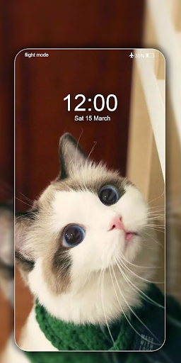 Cute Cat Wallpaper Live HD - Image screenshot of android app