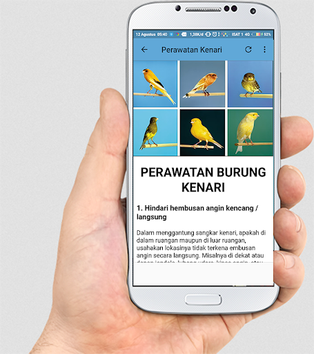 TERAPI KENARI F1 MASTER - Image screenshot of android app