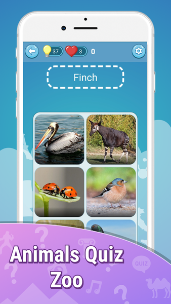 Animals quiz zoo: fish birds - عکس بازی موبایلی اندروید