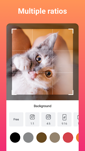 SlidePlus - Slideshow Maker - Image screenshot of android app