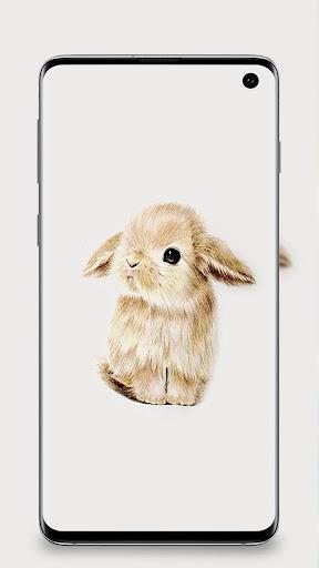 Rabbit wallpaper 4k - Bunny Wallpapers - Image screenshot of android app