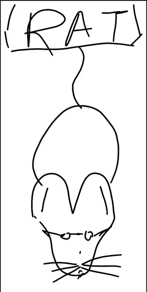 Scribble & Guess: IO Game - عکس بازی موبایلی اندروید