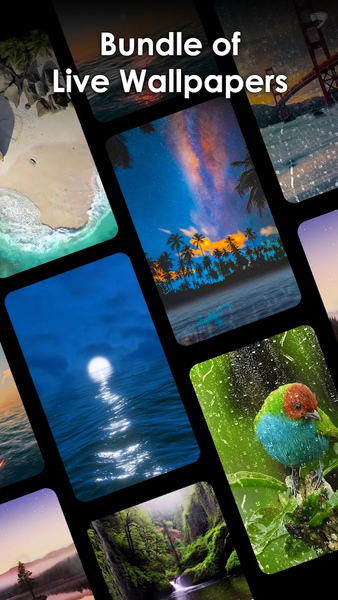 Transparent Camera Screen - Image screenshot of android app