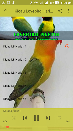 Lovebird Ngetik Ngekek Offline - عکس برنامه موبایلی اندروید