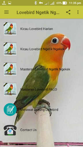 Lovebird Ngetik Ngekek Offline - عکس برنامه موبایلی اندروید