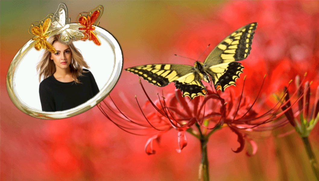 Butterfly Photo Frames - Image screenshot of android app