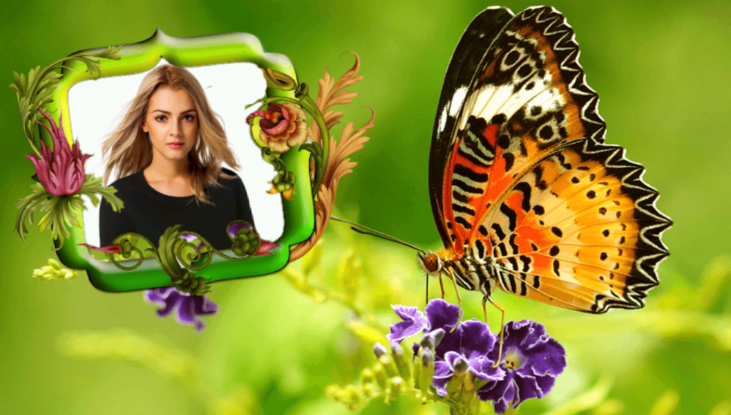 Butterfly Photo Frames - Image screenshot of android app