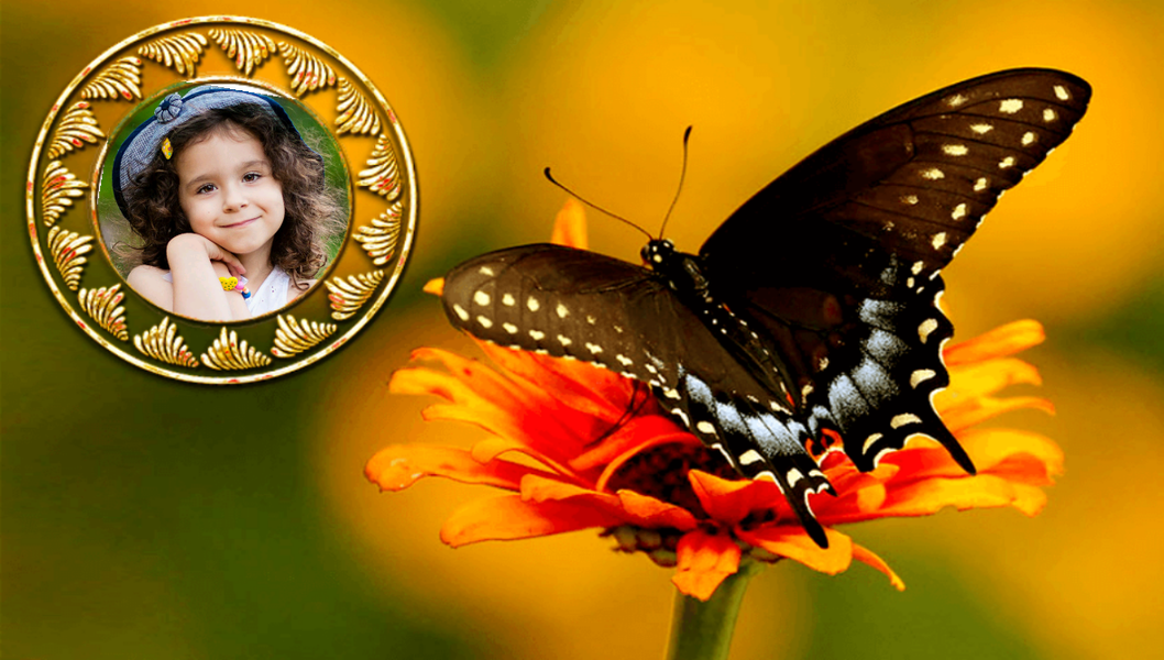 Butterfly Photo Frames - Image screenshot of android app