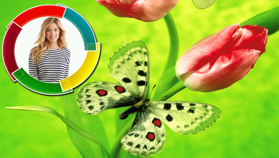 Butterfly Photo Frames - Image screenshot of android app