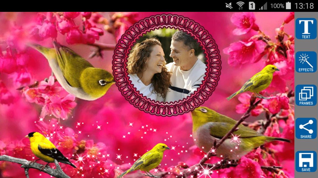 Love Birds Photo Frames - Image screenshot of android app