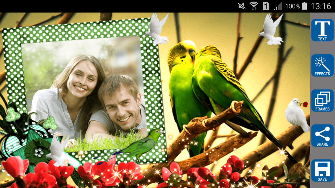 Love Birds Photo Frames - عکس برنامه موبایلی اندروید