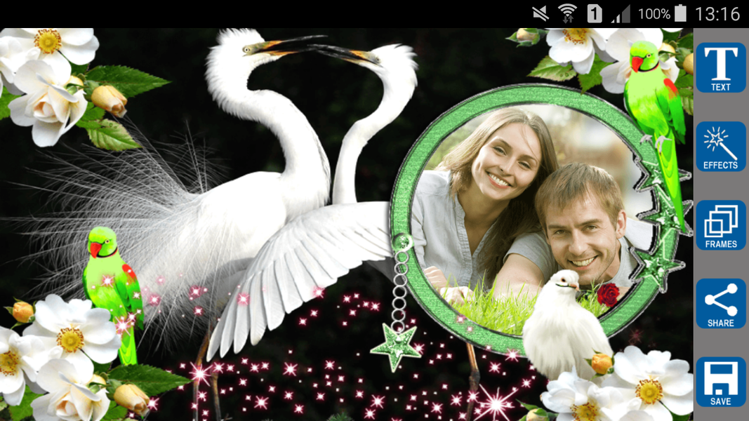 Love Birds Photo Frames - Image screenshot of android app