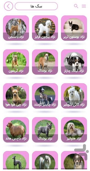 My Pet - Image screenshot of android app