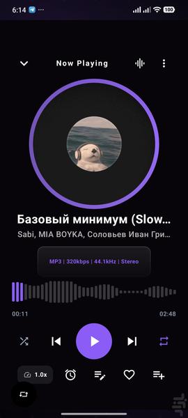 موزیک پلیر حرفه ای ریون - عکس برنامه موبایلی اندروید