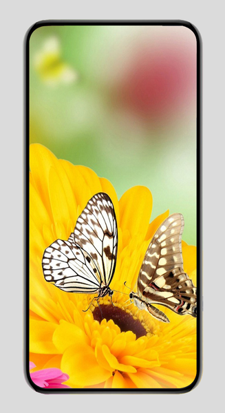 Wallpaper Flower HD - Flower W - Image screenshot of android app