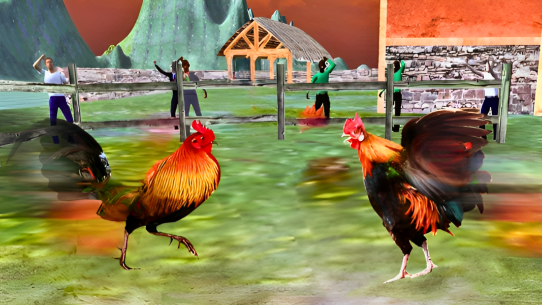 Angry Chicken Fighting - Gameplay image of android game