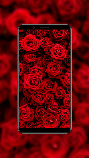 🔴 4K Red Wallpapers HD - Image screenshot of android app