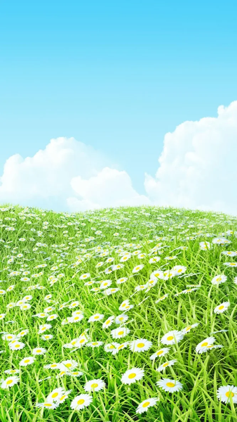 Spring wallpapers - عکس برنامه موبایلی اندروید