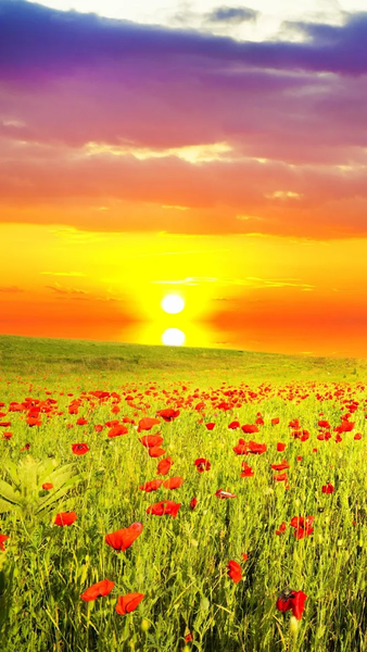 Nature wallpapers - Image screenshot of android app