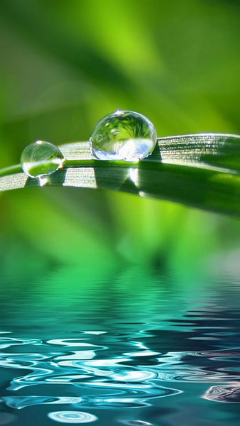 Nature wallpapers - عکس برنامه موبایلی اندروید