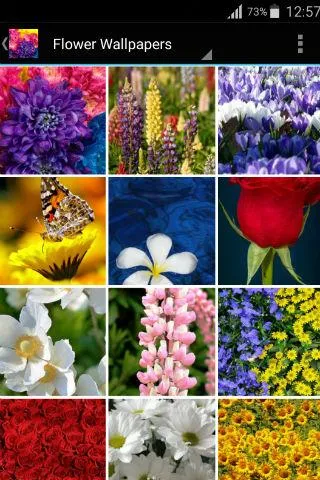 Floral wallpapers - عکس برنامه موبایلی اندروید