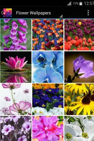 Floral wallpapers - عکس برنامه موبایلی اندروید