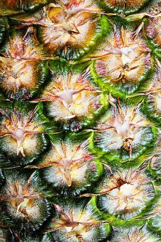 Fruit Wallpapers - عکس برنامه موبایلی اندروید
