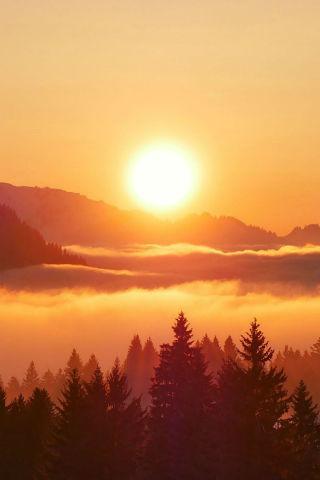 Sun wallpapers - Image screenshot of android app
