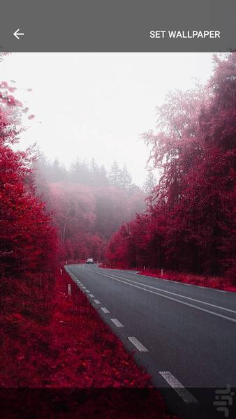 Red rainy autumn live wallpaper - Image screenshot of android app