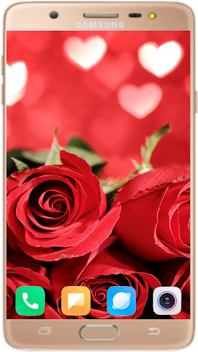 Red Rose Wallpaper 4K - Image screenshot of android app