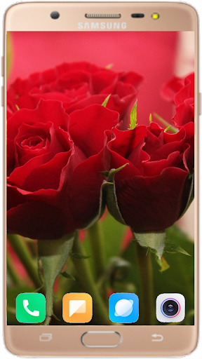 Red Rose Wallpaper 4K - Image screenshot of android app