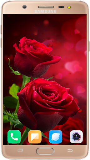 Red Rose Wallpaper 4K - Image screenshot of android app