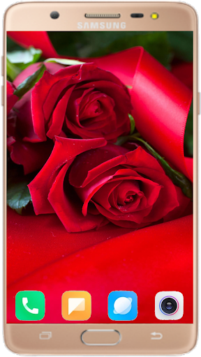 Red Rose Wallpaper 4K - Image screenshot of android app