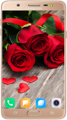 Red Rose Wallpaper 4K - Image screenshot of android app