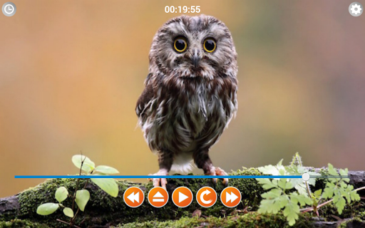 Birds Calls Sounds - Image screenshot of android app
