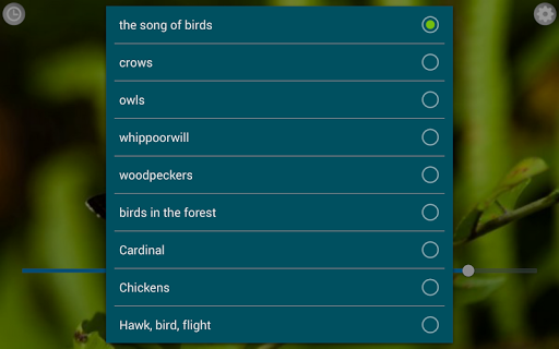 Birds Calls Sounds - Image screenshot of android app